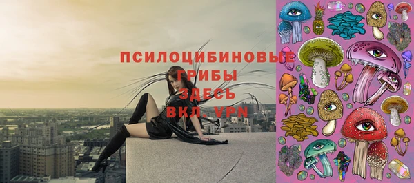 марки lsd Карпинск