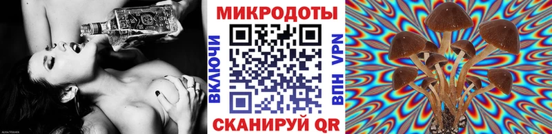 купить наркоту  Кинель  Галлюциногенные грибы прущие грибы 